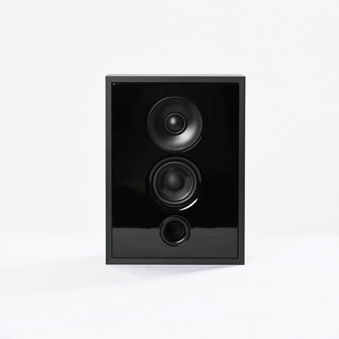 IWO 801 - 2 way shallow profile speaker