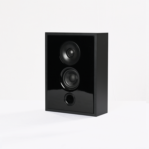 IWO 801 - 2 way shallow profile speaker