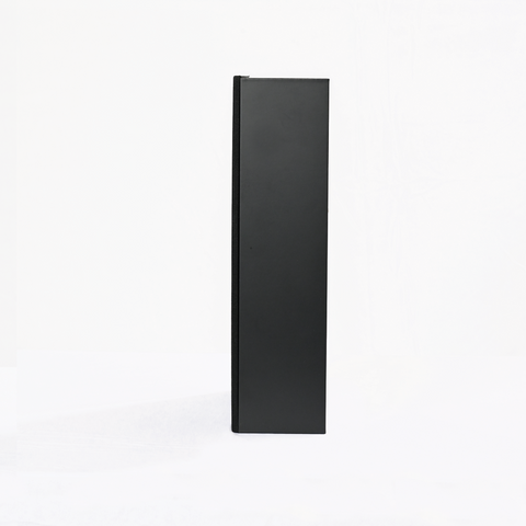 IWO 802 - 2 way shallow profile speaker