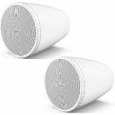 Bose Professional FreeSpace FS2P Passive Pendant-Mount Loudspeaker (Pair)