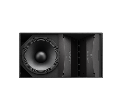 Bose Professional ArenaMatch AM20/80 DeltaQ Array Loudspeaker