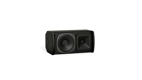 Bose Professional ArenaMatch AMU105 Compact High-Performance Loudspeaker