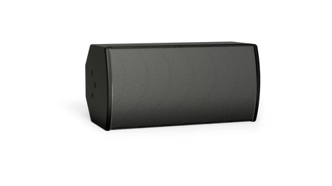Bose Professional ArenaMatch AMU108-120 Compact High-Performance Loudspeaker