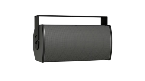 Bose Professional ArenaMatch AMU108-120 Compact High-Performance Loudspeaker