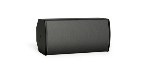 Bose Professional ArenaMatch AMU108 Compact High-Performance Loudspeaker