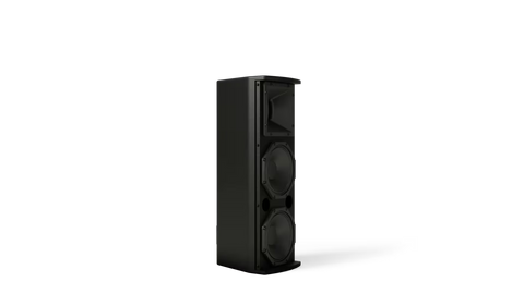 Bose Professional ArenaMatch AMU206 Compact High-Performance Loudspeaker
