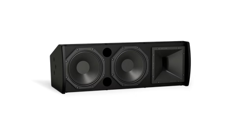 Bose Professional ArenaMatch AMU206 Compact High-Performance Loudspeaker