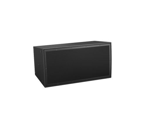 Bose Professional ArenaMatch AM10 DeltaQ Array Loudspeaker