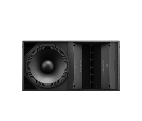 Bose Professional ArenaMatch AM10 DeltaQ Array Loudspeaker