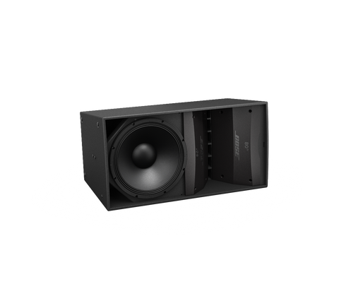 Bose Professional ArenaMatch AM10 DeltaQ Array Loudspeaker