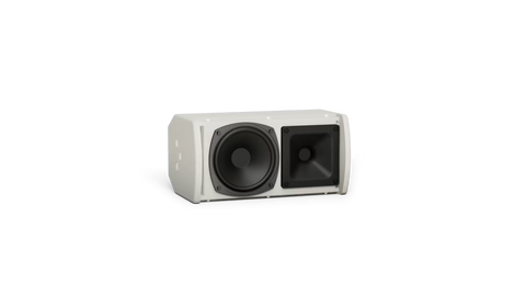 Bose Professional ArenaMatch AMU105 Compact High-Performance Loudspeaker