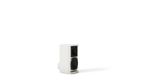 Bose Professional ArenaMatch AMU105 Compact High-Performance Loudspeaker