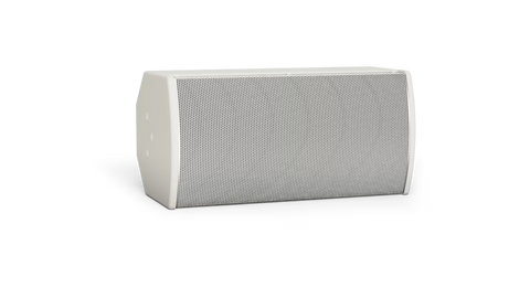 Bose Professional ArenaMatch AMU108-120 Compact High-Performance Loudspeaker