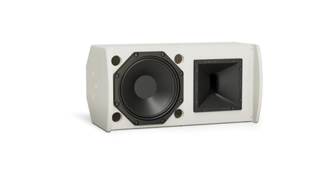 Bose Professional ArenaMatch AMU108-120 Compact High-Performance Loudspeaker