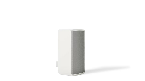 Bose Professional ArenaMatch AMU108-120 Compact High-Performance Loudspeaker