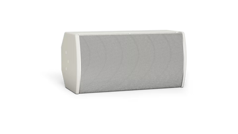Bose Professional ArenaMatch AMU108 Compact High-Performance Loudspeaker