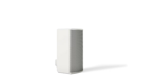 Bose Professional ArenaMatch AMU108 Compact High-Performance Loudspeaker