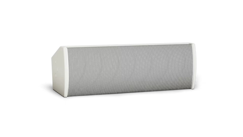 Bose Professional ArenaMatch AMU206 Compact High-Performance Loudspeaker