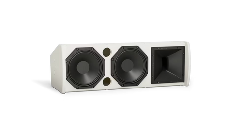 Bose Professional ArenaMatch AMU206 Compact High-Performance Loudspeaker
