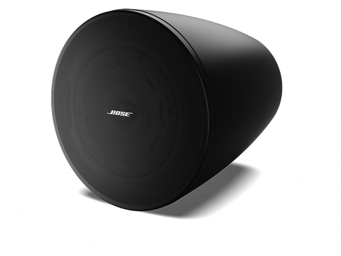 Bose Professional DesignMax DM6PE Outdoor Pendant-Mount Loudspeaker (1 pair)