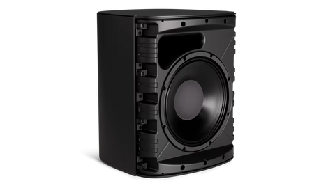Bose Professional DesignMax DM12SE 12-Inch Coaxial Surface-Mount Loudspeaker