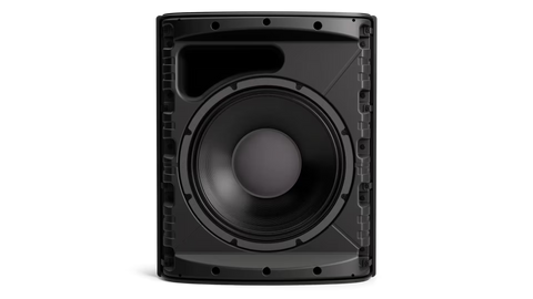 Bose Professional DesignMax DM12SE 12-Inch Coaxial Surface-Mount Loudspeaker