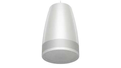 Bose Professional DesignMax Luna DML88P Extended-Range Pendant Loudspeaker