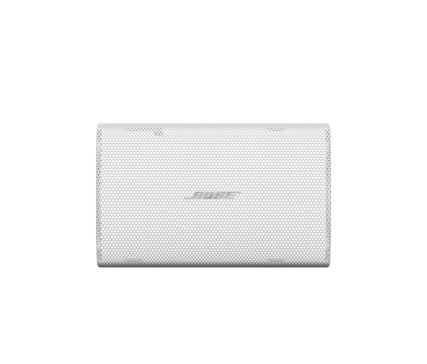 Bose Professional FreeSpace FS2SE Replacement Aluminum Grille (1 pair)
