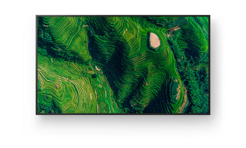 Sony Bravia FW-65BZ35P 65-Inch" UHD 4K HDR Professional Display