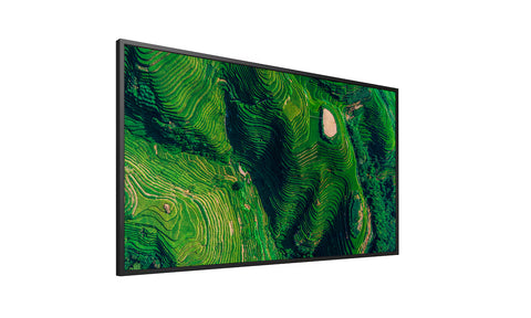 Sony Bravia FW-55BZ35P 55-Inch" UHD 4K HDR Professional Display