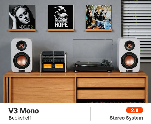 Fosi Audio V3 MONO-48V5A Mono Monoblock Power Amplifier