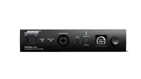 Bose Professional Veritas 250BL 2-Channel Smart Mixer Amplifier